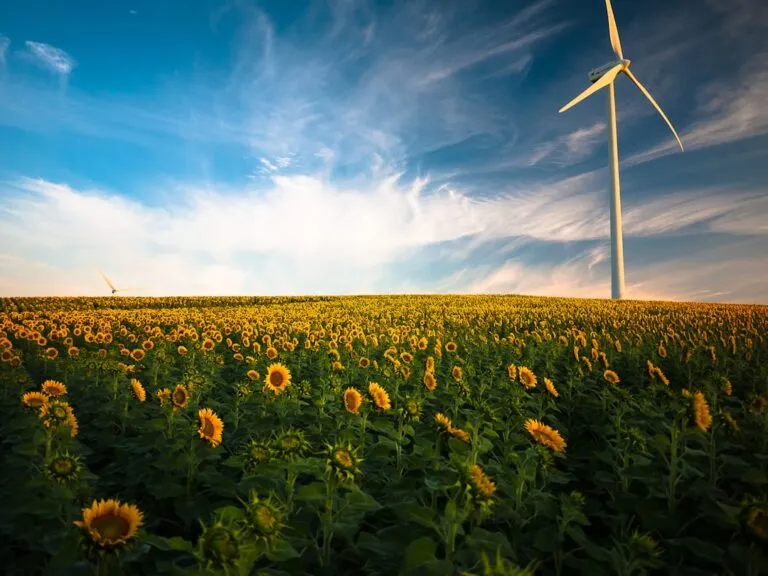 Photo Energy management