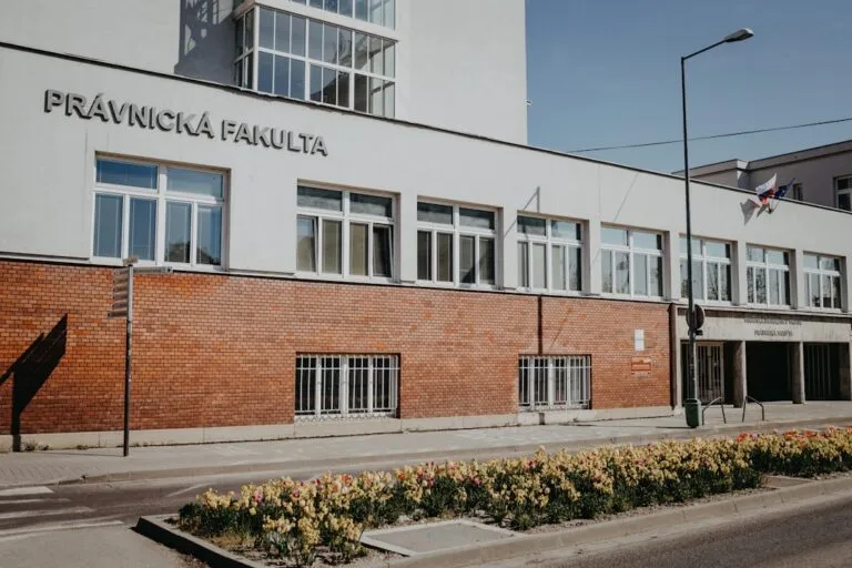 Cum alegi forma juridică potrivită pentru noua ta afacere Photo forma juridică potrivită